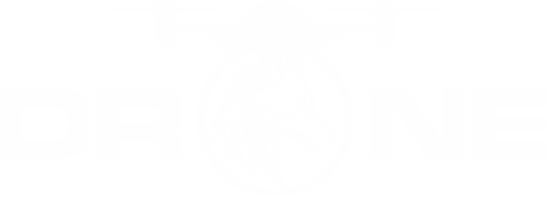 logo2